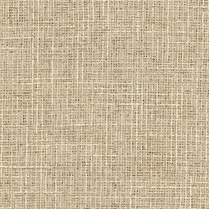 Adjuster Natural by Carole Fabric