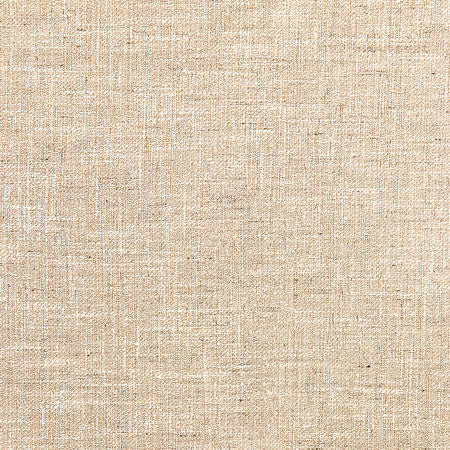 Astounding Sand by Carole Designer Fabric Best Dressed 53% Cotton, 47% Polyester 15,000 Wyzenbeek Double Rubs None 54" - Swanky Fabrics -