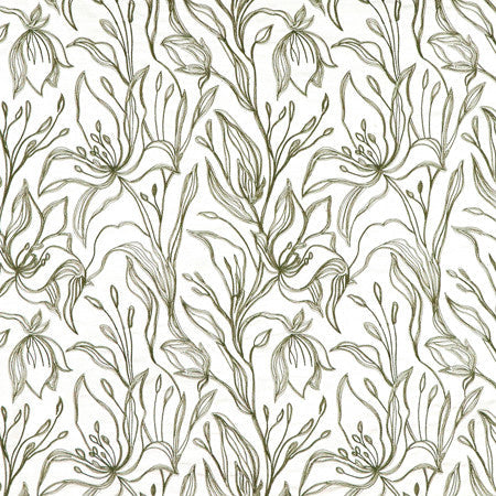 <p>Melody Olive by Carole Designer Fabric</p><p><strong>Required Minimum Quantity Purchase: 2 yards</strong></p><p>Book: Forget Me Knot</p><p>Content: Base: 100% Cotton Embr: 75% Cotton, 25% Rayon</p><p>Origin: </p><p>Performance: N/A</p><p>Repeat: 15 1/2" V, 13 1/2" H</p><p>Width: 52*"</p>