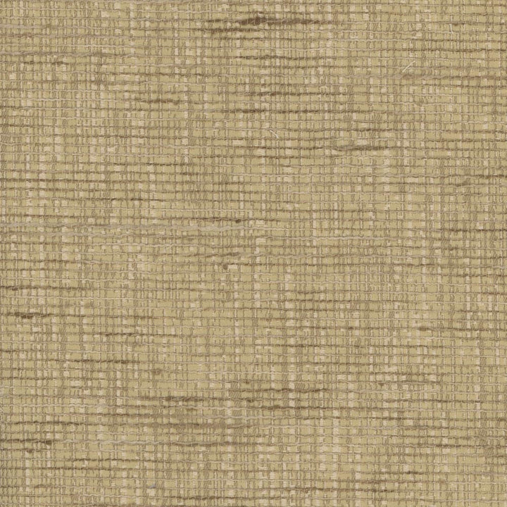 Next Article Camel by Carole Fabric Stationery 100% Polyester India N/A Horizontal: 0 and Vertical: 0 54 - Fabric Carolina -