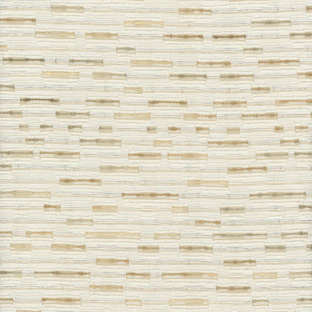 Birch Paper Parchment by Carole Fabric Stationery 100% Polyester India Passes 25,000 Double Rubs Wyzenbeek Horizontal: 135 and Vertical: 0 55 - Fabric Carolina -