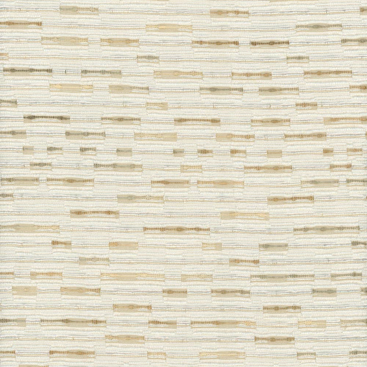 Birch Paper Parchment by Carole Fabric Stationery 100% Polyester India Passes 25,000 Double Rubs Wyzenbeek Horizontal: 135 and Vertical: 0 55 - Fabric Carolina -