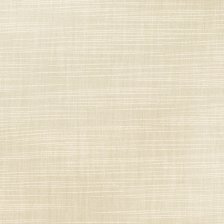 Athlete Cashew by Carole Designer Fabric Opal 60% Cotton, 40% Polyester India Passes 50,000 Double Rubs Wyzenbeek Horizontal: 0 and Vertical: 0 55 - Swanky Fabrics -