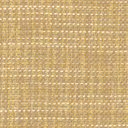 Endurance Biscotti by Carole Fabric Head Start 100% Polyester IFR Hybrid India  None 54"  - Fabric Carolina -