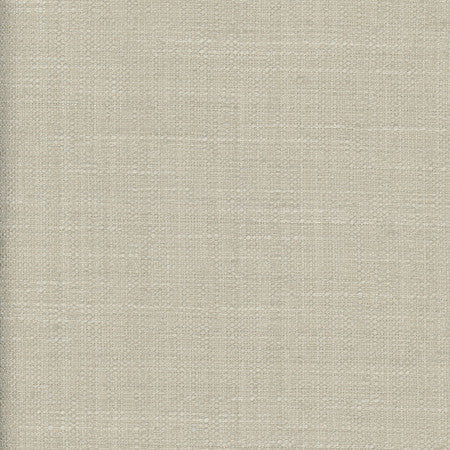 <p>The Reason Is Bone by Carole Designer Fabric</p><p><strong>Required Minimum Quantity Purchase: 2 yards</strong></p><p>Book: Desert Sands</p><p>Content: 100% Polyester</p><p>Origin: </p><p>Performance: N/A</p><p>Repeat: None</p><p>Width: 54""</p>