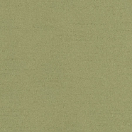 Bane Meadow by Carole Fabric With Grace 100% Polyester Hybrid FR Mexico 30,000 WYZENBEEK DOUBLE RUBS None 54"  - Fabric Carolina -