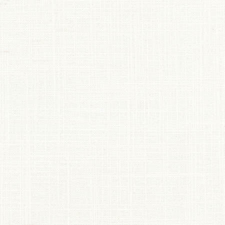SHERIFF POWDER by Carole Fabric Arlyn,Dove Wing 36% COTTON, 30% POLYESTER, 17% VISCOSE, 17% LINEN INDIA Passes 30,000 Double Rubs Wyzenbeek NONE 54"  - Fabric Carolina -