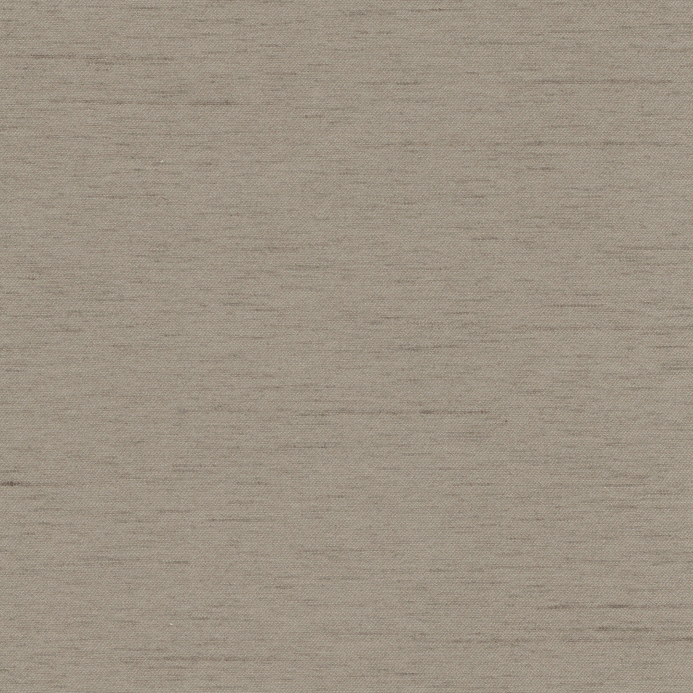 Northwind Fossil by Carole Fabric New Northwind Iv 100% Polyester India Passes 9,000 Double Rubs Wyzenbeek Horizontal: 0 and Vertical: 0 54 - Fabric Carolina -