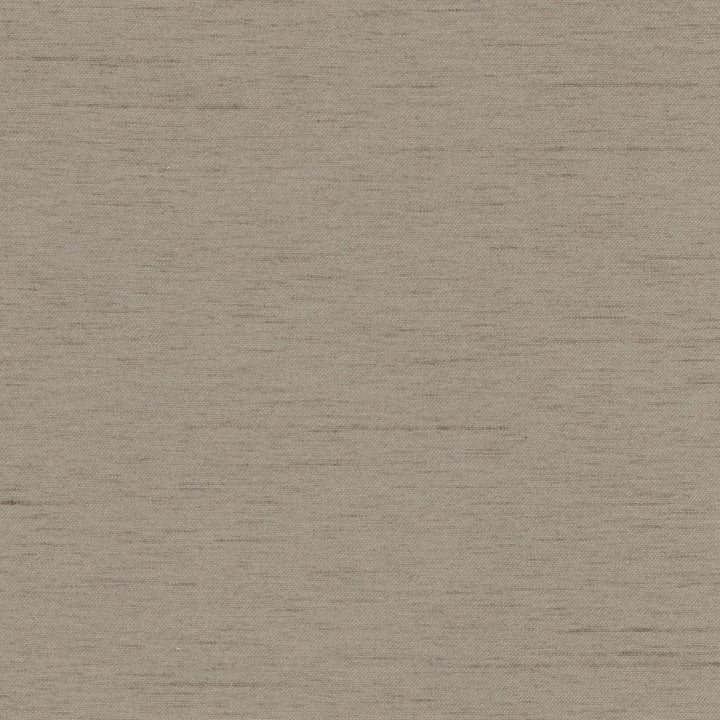 Northwind Fossil by Carole Fabric New Northwind Iv 100% Polyester India Passes 9,000 Double Rubs Wyzenbeek Horizontal: 0 and Vertical: 0 54 - Fabric Carolina -