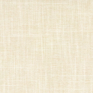 Big Thinker Bisque by Carole Fabric