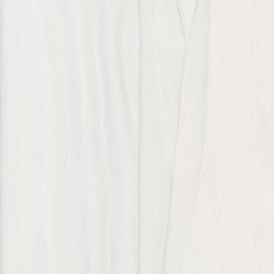 Holdback Winter White by Carole Fabric