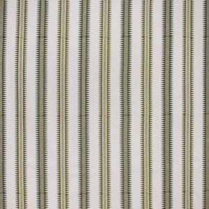 Tell Me Now Kiwi by Carole Fabric