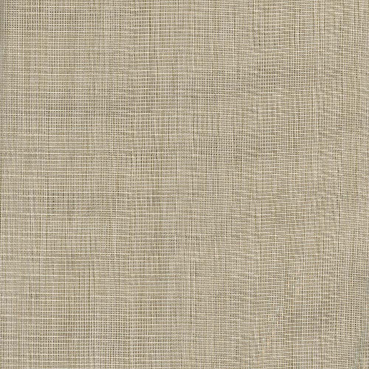 Cloudless Sky Birch by Carole Designer Fabric Sheer Divine 100% Polyester Germany N/A Horizontal: 0 and Vertical: 0 120 - Swanky Fabrics -
