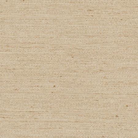 Aiden Natural by Carole Fabric Aiden Gallery,Opal,Subtle Hints 100% Polyester INDIA PASSES 30,000 DOUBLE RUBS WYZENBEEK Horizontal: None and Vertical: None 56" - Fabric Carolina -
