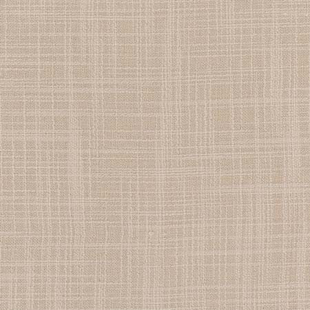 Lets Be Real Froth by Carole Fabric See It Through 100% Recycled Polyester India  None 54"  - Fabric Carolina -