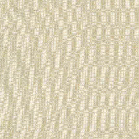 Fleeting Plantain by Carole Designer Fabric Royale 100% Polyester India Passes 50,000 Double Rubs Wyzenbeek </p><p>Repeat: None 54" - Swanky Fabrics -