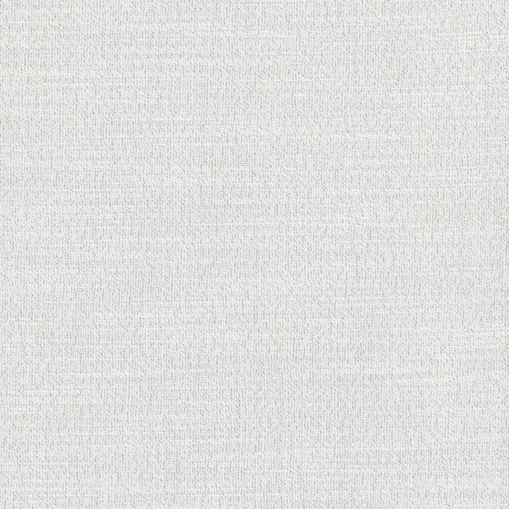 Say Yes Frost by Carole Fabric Winner'S Circle 78% Polyester, 22% Viscose India N/A Horizontal: 0 and Vertical: 0 55 - Fabric Carolina -