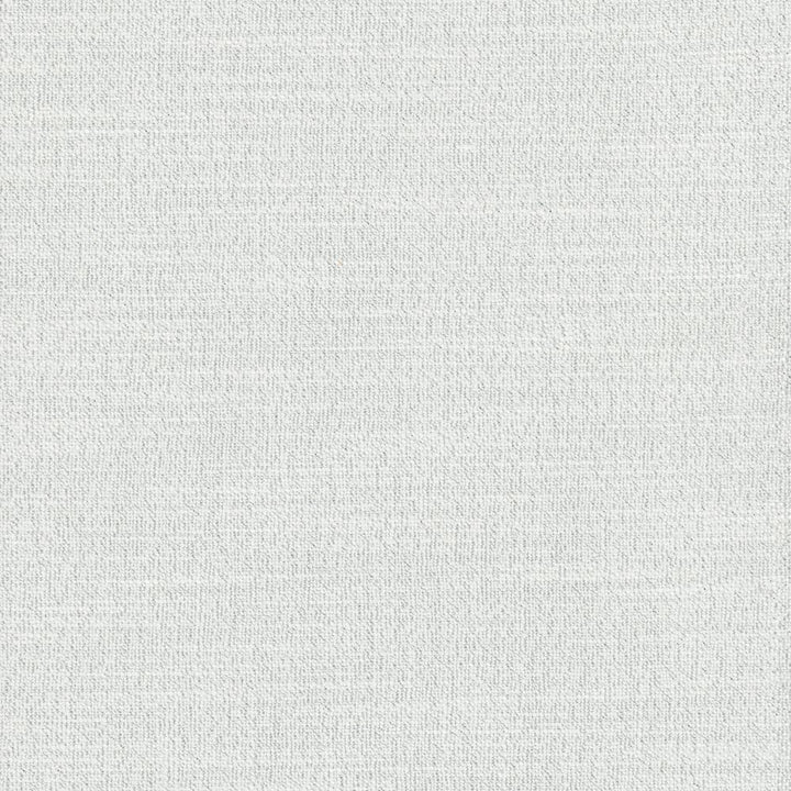 Say Yes Frost by Carole Fabric Winner'S Circle 78% Polyester, 22% Viscose India N/A Horizontal: 0 and Vertical: 0 55 - Fabric Carolina -