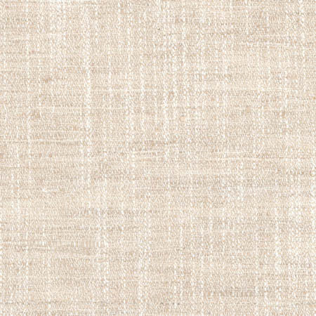 Sidewalk Cloud by Carole Designer Fabric Abode 100% Polyester India 100,000 Wyzenbeek Double Rubs None 54" - Swanky Fabrics -