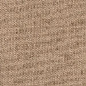 Monitor Camel by Carole Fabric
