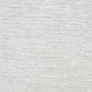 Sensational Shark by Carole Fabric