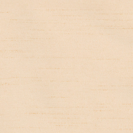 Bane Himalayan Salt by Carole Fabric With Grace 100% Polyester Hybrid FR Mexico 30,000 WYZENBEEK DOUBLE RUBS None 54"  - Fabric Carolina -