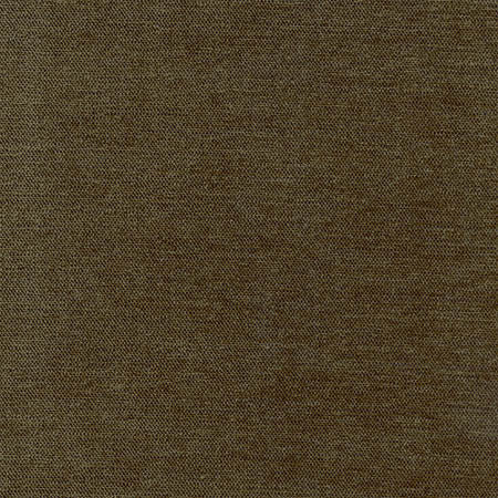 Total Dream Forest by Carole Fabric First Class 100% Polyester-Softened TURKEY N/A None 54"  - Fabric Carolina -