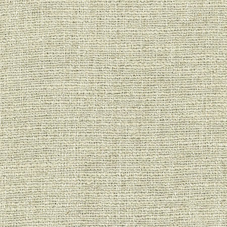 Warden Celery by Carole Fabric Laguna 90% Polyester, 10% Linen CHINA  None 55"  - Fabric Carolina -