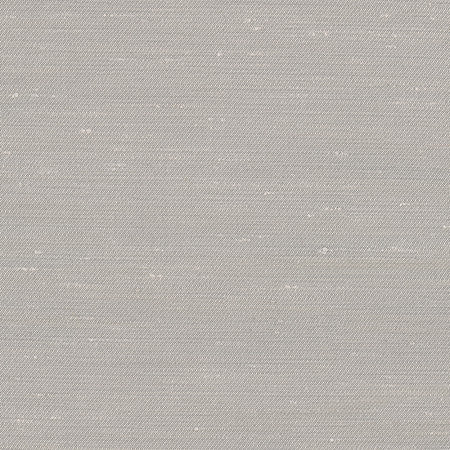 Rumi Silver by Carole Fabric Gala 100% Polyester India  None 54"  - Fabric Carolina -