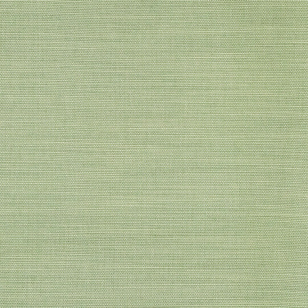 Boardroom Aloe by Carole Designer Fabric Power Play 100% IFR Hybrid Polyester 25,000 Wyzenbeek Double Rubs None 54" - Swanky Fabrics -