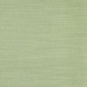 Boardroom Aloe by Carole Fabric