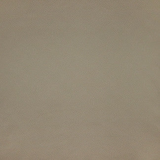 Take Comfort Taupe by Carole Fabric Sense Of Style 65% Polyester, 35% Cotton India N/A </p><p>Repeat: 9 1/4" V, 10" H 56" - Fabric Carolina -