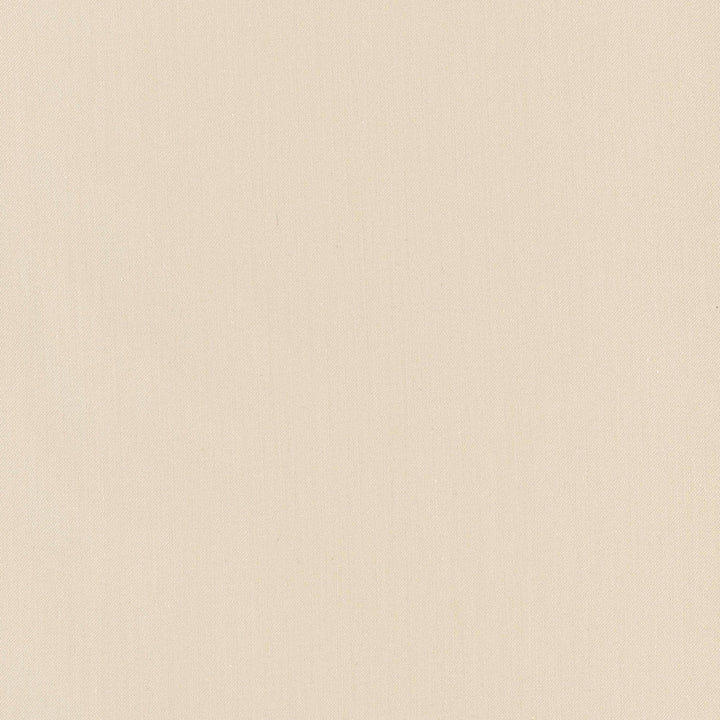 Comfort Muslin by Carole Fabric Daydreaming 100% Cotton India Passes 21,000 Double Rubs Wyzenbeek Horizontal: 0 and Vertical: 0 54 - Fabric Carolina -