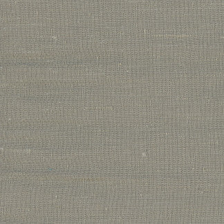 Lydia Cement by Carole Fabric Lydia,Lydia II 100% Polyester Fr India N/A None 54"  - Fabric Carolina -