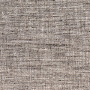 Prodigy Driftwood by Carole Fabric