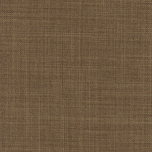Sightsee Mocha by Carole Fabric