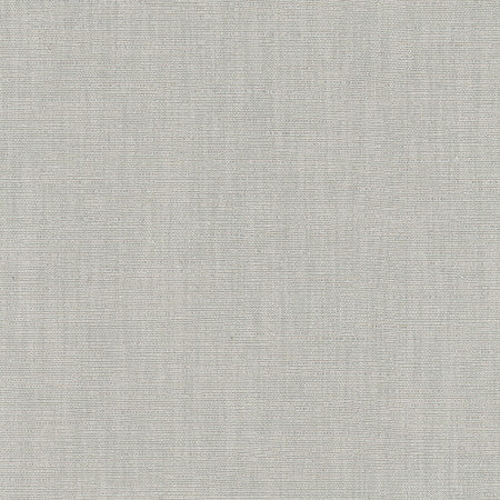 Athlete Sterling by Carole Fabric Pewter 60% Cotton, 40% Polyester India  None 55"  - Fabric Carolina -