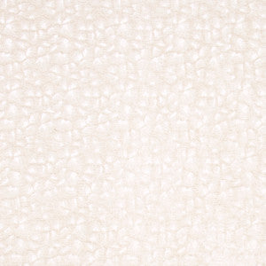 Sleeping Bear Ivory by Carole Fabric
