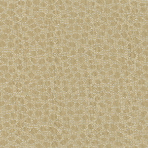 Who We Are Sand by Carole Fabric