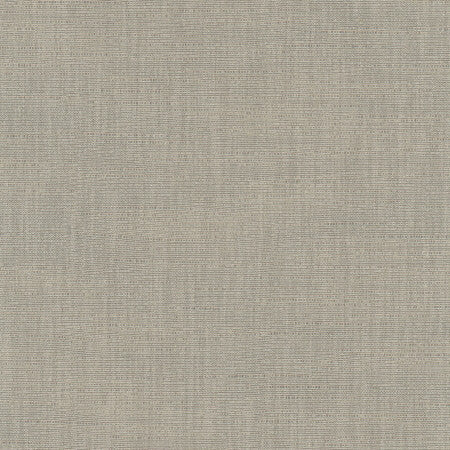 Athlete Slate by Carole Fabric Pewter 60% Cotton, 40% Polyester India Passes 50,000 Double Rubs Wyzenbeek Horizontal: None and Vertical: None 55" - Fabric Carolina -
