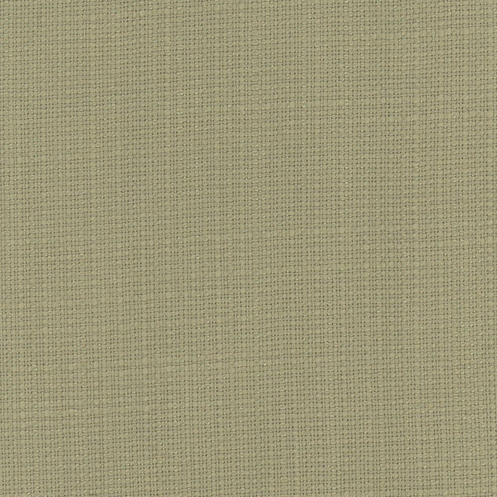 Narration Moss by Carole Fabric Narrator 100% Polyester Mexico Passes 30,000 Double Rubs Wyzenbeek Horizontal: 0 and Vertical: 0 54 - Fabric Carolina -