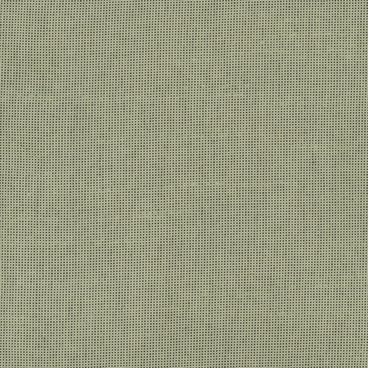 Fleeting Olive by Carole Fabric Royale 100% Polyester India Passes 50,000 Double Rubs Wyzenbeek Horizontal: 0 and Vertical: 0 54 - Fabric Carolina -
