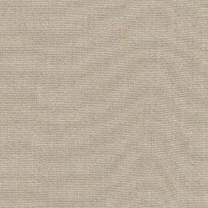 Tempt Silt by Carole Fabric Royale 100% IFR Polyester India Passes 45,000 Double Rubs Wyzenbeek Horizontal: 0 and Vertical: 0 54 - Fabric Carolina -