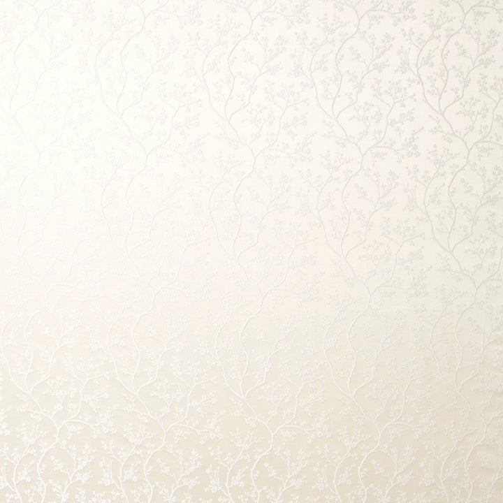 Never Reach Ecru by Carole Fabric Portobello 69% Polyester, 31% Nylon India Passes 100,000 Double Rubs Wyzenbeek Horizontal: 6.75 and Vertical: 8.75 54 - Fabric Carolina -
