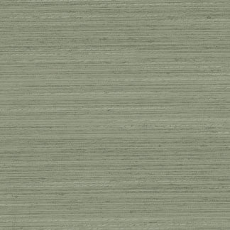 Discreet Silver Sage by Carole Fabric Distinct Drapery,Delight 100% POLYESTER INDIA Passes 20,000 Double Rubs Wyzenbeek </p><p>Repeat: NONE 55" - Fabric Carolina -