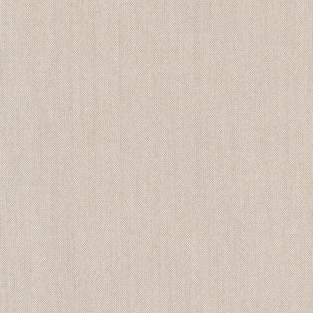 Freshman Stone by Carole Fabric Dove Wing 100% Polyester INDIA  None 54"  - Fabric Carolina -