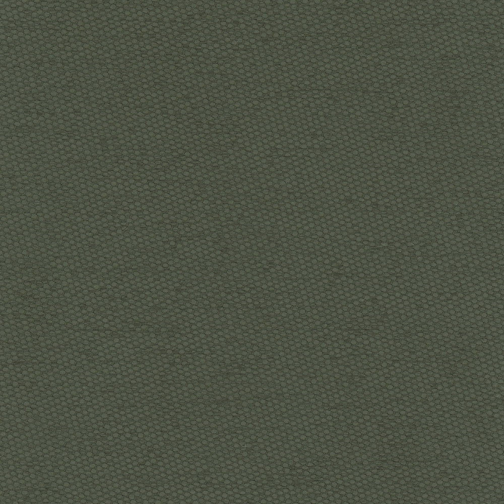 Fact Finder Seaweed by Carole Fabric Celadon 100% Polyester Turkey Passes 40,000 Double Rubs Wyzenbeek Horizontal: 0 and Vertical: 0 59 - Fabric Carolina -