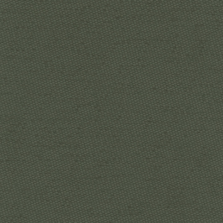 Fact Finder Seaweed by Carole Fabric Celadon 100% Polyester Turkey Passes 40,000 Double Rubs Wyzenbeek Horizontal: 0 and Vertical: 0 59 - Fabric Carolina -