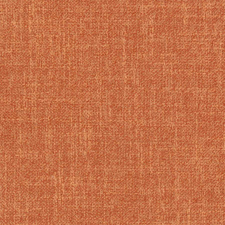 Enthusiasm Spice by Carole Fabric Sunbaked 100% Polyester INDIA N/A None 54"  - Fabric Carolina -