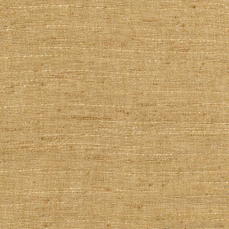 Training Day Mustard by Carole Designer Fabric Sunbaked 92% Polyester, 8% Cotton INDIA N/A None 54" - Swanky Fabrics -